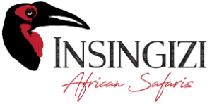 Insingizi African Safaris